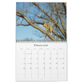 DIE GROSSEN FÜNF KALENDER (Feb 2026)