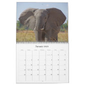 DIE GROSSEN FÜNF KALENDER (Jan 2026)