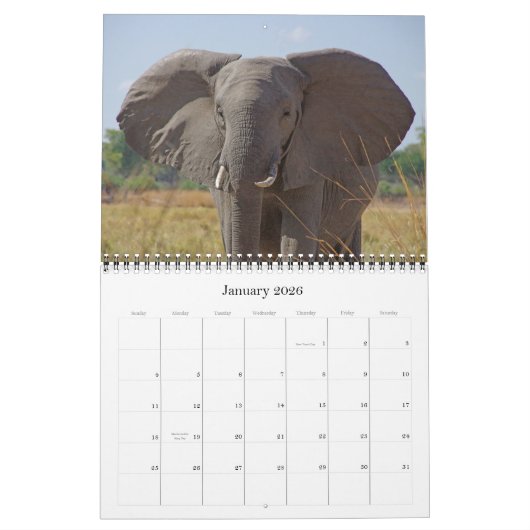 DIE GROSSEN FÜNF KALENDER (Jan 2026)