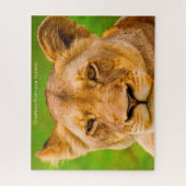 Die großen Katzen Löwen. Puzzle (Vertikal)