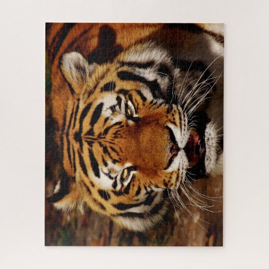 Die großen Katzen Löwen. Puzzle (Vertikal)