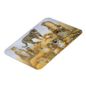 Die großen Katzen Magnet (Linke Seite)