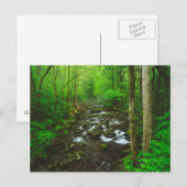 Die großen, rauchigen Berge Postkarte (Vorne/Hinten)