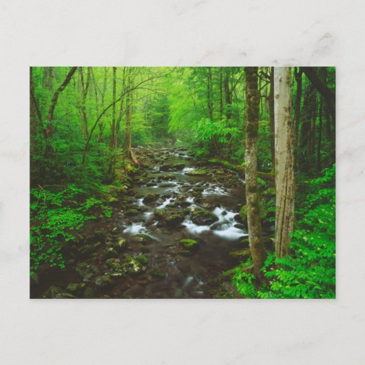 Die großen, rauchigen Berge Postkarte (Vorderseite)