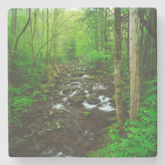 Die großen, spottigen Berge Steinuntersetzer (Vorderseite)