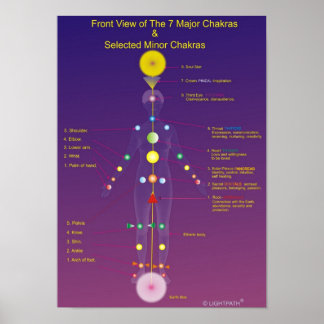Die großen und kleinen Chakras Poster