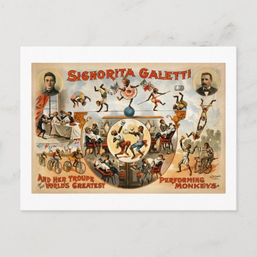 Die größten Darstellenden Affen der Welt 1892 Postkarte (Vorderseite)