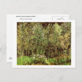 Die Grove, Van Gogh Fine Art Postkarte (Vorne/Hinten)