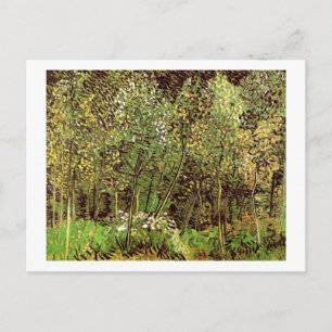 Die Grove, Van Gogh Fine Art Postkarte