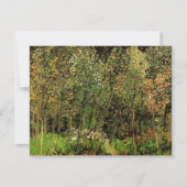 Die Grove von Vincent van Gogh (Vorderseite)