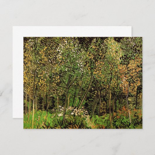 Die Grove von Vincent van Gogh (Vorne/Hinten)