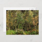 Die Grove von Vincent van Gogh Postkarte (Vorne/Hinten)