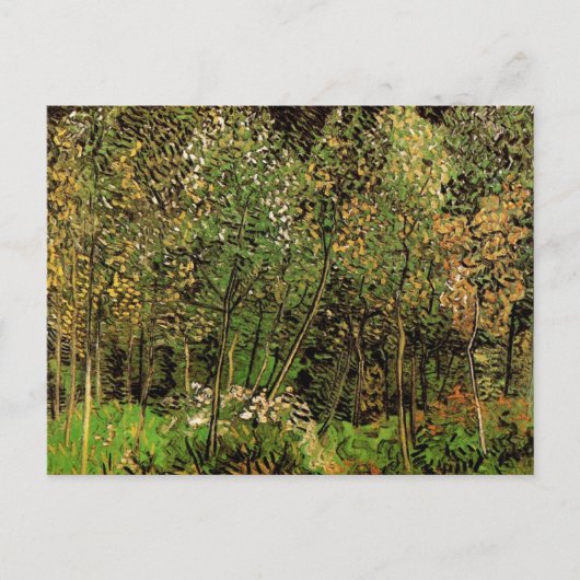 Die Grove von Vincent van Gogh Postkarte (Vorderseite)