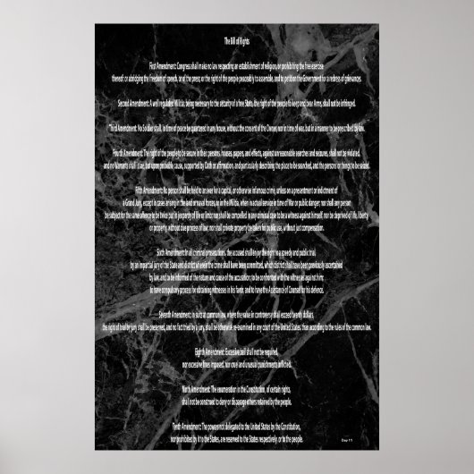 Die Grundrechtecharta Poster (Vorne)