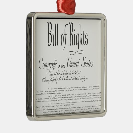 Die Grundrechtecharta Silbernes Ornament (Rechts)