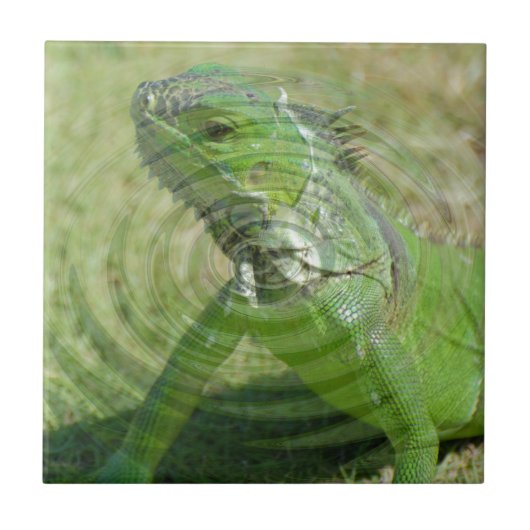 Die grüne Iguana Fliese (Vorderseite)