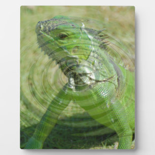 Die grüne Iguana Fotoplatte