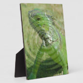 Die grüne Iguana Fotoplatte (Seite)