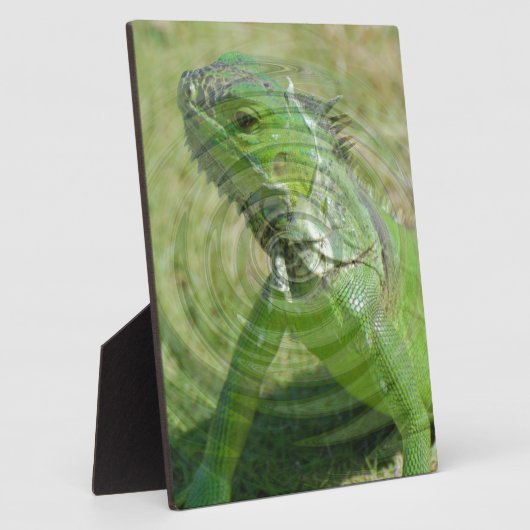 Die grüne Iguana Fotoplatte (Seite)