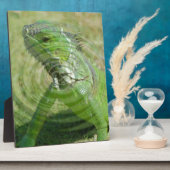 Die grüne Iguana Fotoplatte (Seite)