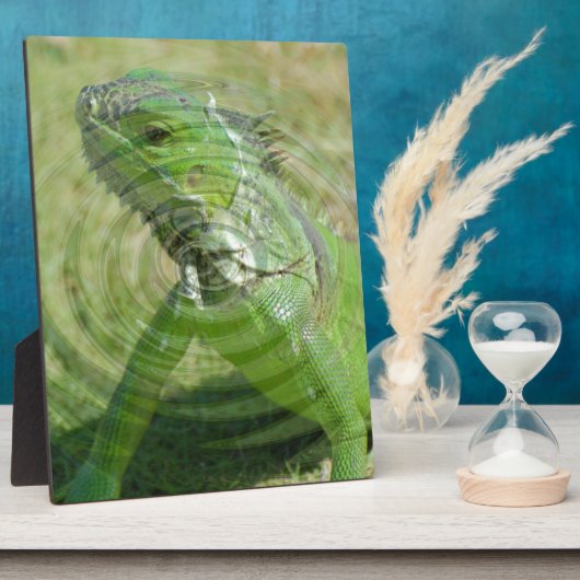 Die grüne Iguana Fotoplatte (Seite)