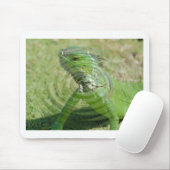 Die grüne Iguana Mousepad (Mit Mouse)