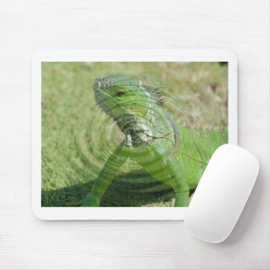 Die grüne Iguana Mousepad (Mit Mouse)