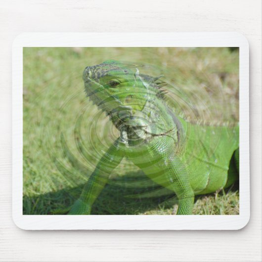 Die grüne Iguana Mousepad (Vorne)