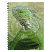 Die grüne Iguana Notizblock (Vorderseite)