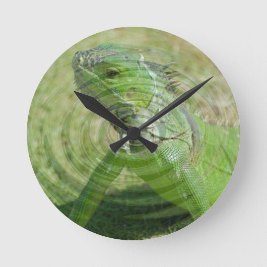 Die grüne Iguana Runde Wanduhr (Vorderseite)