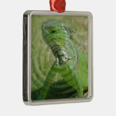 Die grüne Iguana Silbernes Ornament (Rechts)