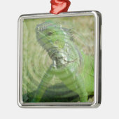 Die grüne Iguana Silbernes Ornament (Links)