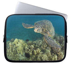 Die Grüne Meeresschildkröte, (Chelonia mydas), ist Laptopschutzhülle