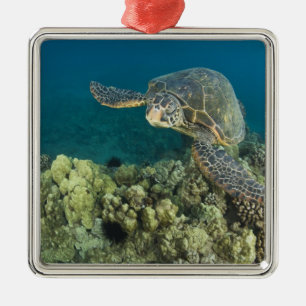 Die Grüne Meeresschildkröte, (Chelonia mydas), ist Ornament Aus Metall