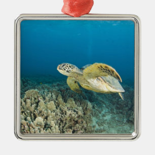 Die Grüne Meeresschildkröte, (Chelonia mydas), ist Ornament Aus Metall