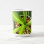 Die grüne Tobago-Tasse Kaffeetasse (Mittel)