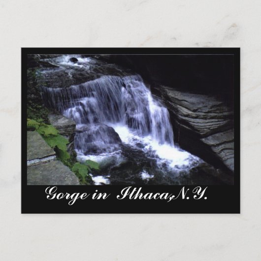 DIE GRÜNE VON ITHACA, N.Y. Postkarte (Vorderseite)