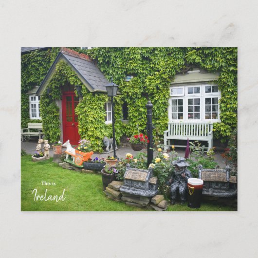 Die Grünen von Westport - Irland Postkarte (Vorderseite)