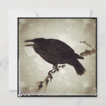 Die Grunge Crow