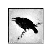 Die Grunge Crow Gummistempel (Prägung)