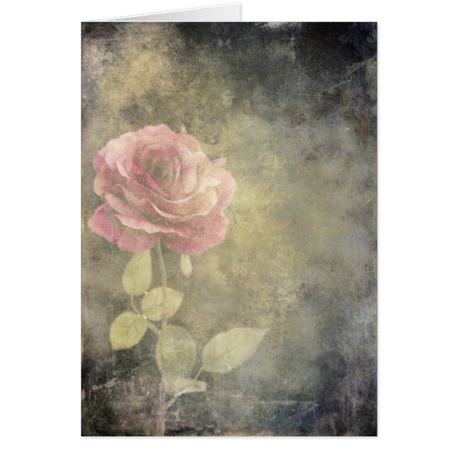 Die Grunge-Rose (Vorne)