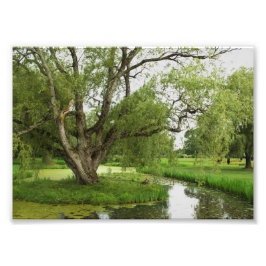 Die Grüntöne von großartigem vor Fotodruck