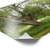 Die Grüntöne von großartigem vor Fotodruck (Ecke)