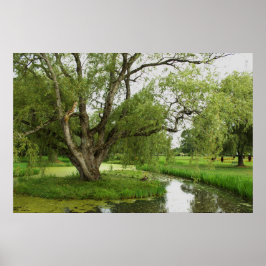 Die Grüntöne von großartigem vor Poster