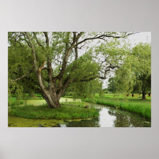 Die Grüntöne von großartigem vor Poster (Vorne)