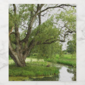 Die Grüntöne von großartigem vor Weinetikett (Einzelnes Label)