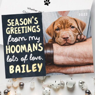 Die Grüße der Saison Funny Modern Pet Custom Foto Folien Feiertagskarte