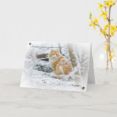 Die Grüße der Saison von unserer Katze zu Ihrer Ka Karte (Gelbe Blume)