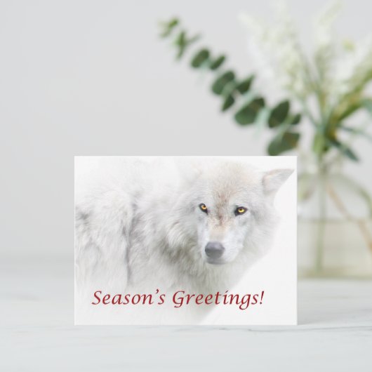 Die Grüße der Saison - White Wolf Postkarte (Stehend Vorderseite)