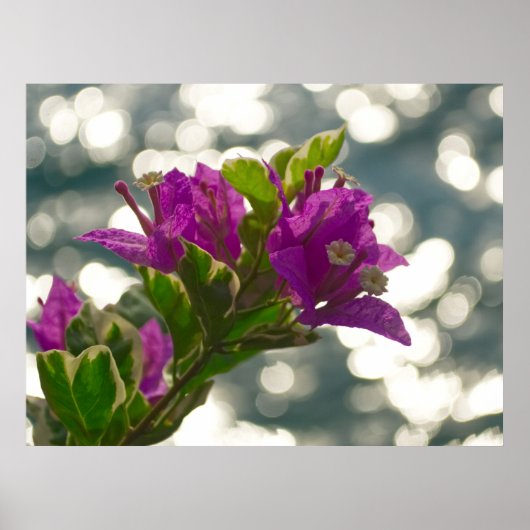 Die Grüße Frühlingsblumen Bokeh Poster (Vorne)